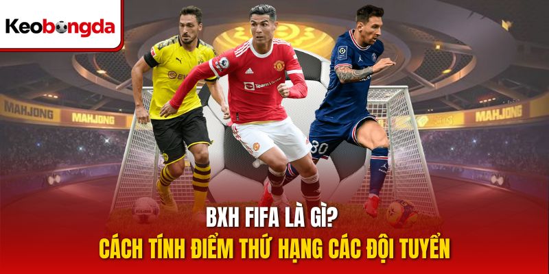 BXH FIFA là gì? Cách tính điểm thứ hạng các đội tuyển