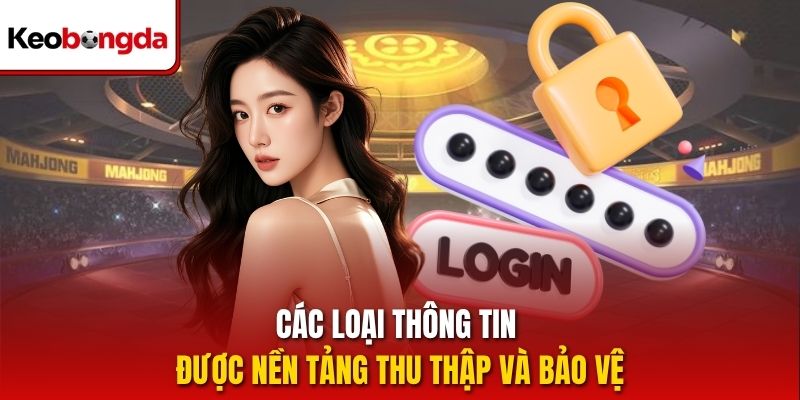 Các loại thông tin được nền tảng thu thập và bảo vệ