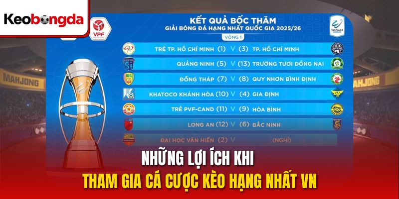 Những lợi ích khi tham gia cá cược kèo hạng nhất VN