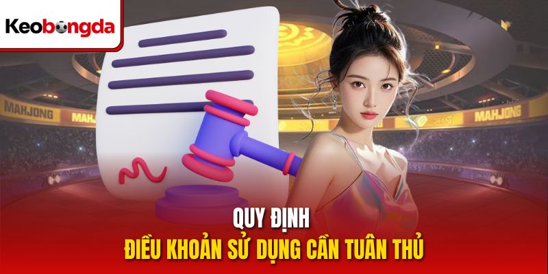 Quy định điều khoản sử dụng cần tuân thủ
