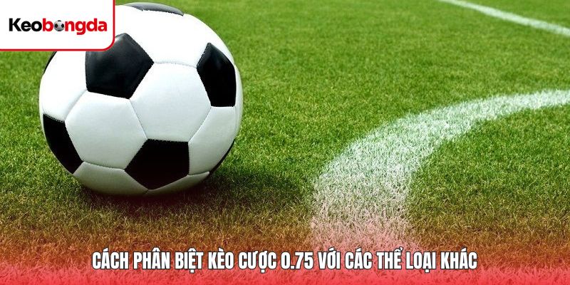 Cách phân biệt kèo cược 0.75 với các thể loại khác