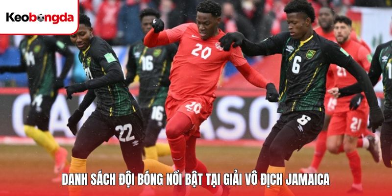 Danh sách đội bóng nổi bật tại giải vô địch Jamaica