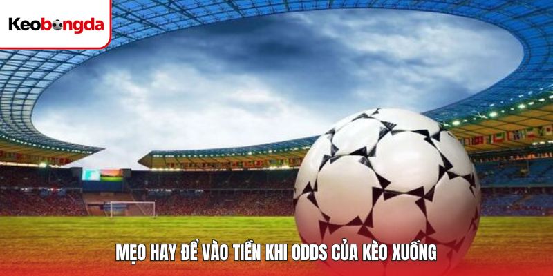 Kèo 1.5 - Mẹo Dự Báo Chính Xác Từ Chuyên Gia Đặt Cược