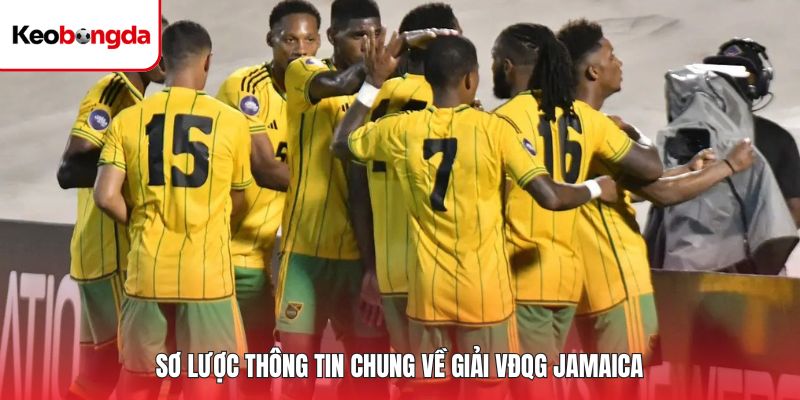 Sơ lược thông tin chung về giải VĐQG Jamaica