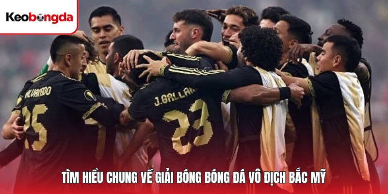 Tìm hiểu chung về giải bóng bóng đá vô địch bắc Mỹ