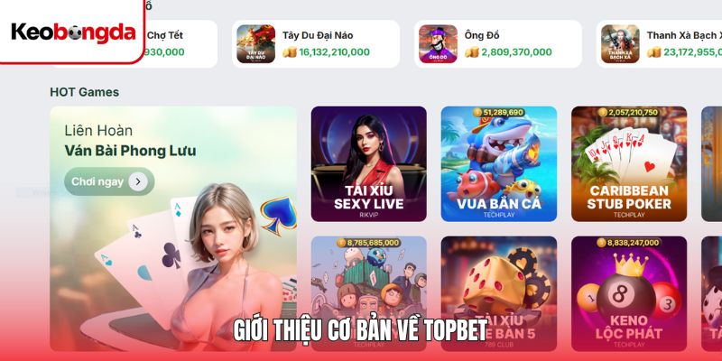 Giới thiệu về độ uy tín của hệ thống