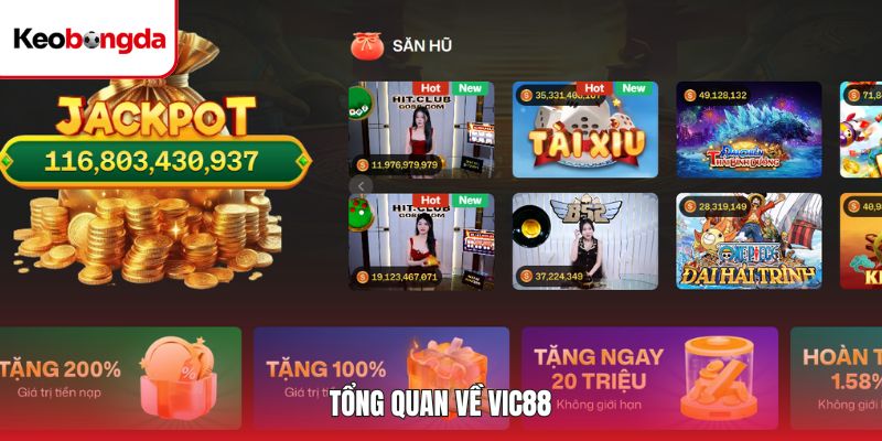 Giới thiệu tổng quan về nền tảng trực tuyến